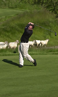 golfing at Whistling Straits in Kohler, WI